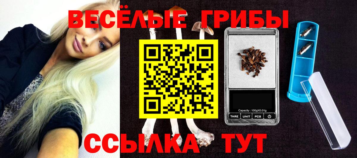 Псилоцибиновые грибы мухоморы Бердск